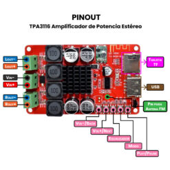 TPA3116 Amplificador de Potencia Estéreo Pinout