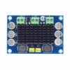 Amplificador TPA3116D2