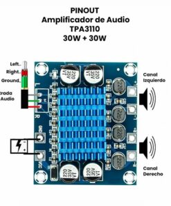 AR2909-Placa amplificadora de potencia TPA3110