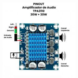 AR2909-Placa amplificadora de potencia TPA3110