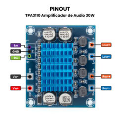 TPA3110 Amplificador de Audio 30W Pinout