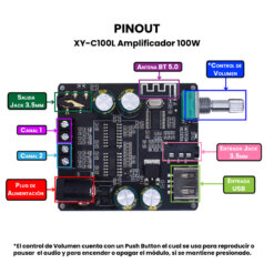 XY-C100L Amplificador 100W Pinout