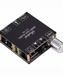 XY-C100L Amplificador 100W