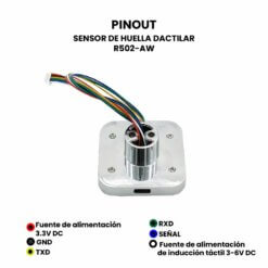 R502AW Sensor Dactilar TTL Pinout