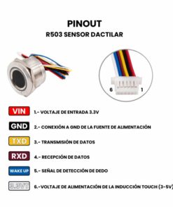 R503 Sensor Dactilar TTL Pinout