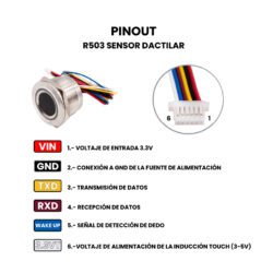 R503 Sensor Dactilar TTL Pinout