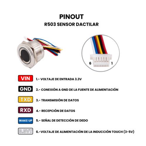 R503 Sensor Dactilar TTL Pinout